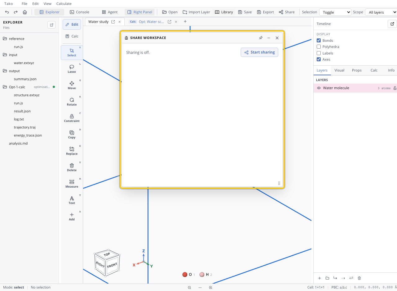 Share Workspace window showing link, included roots, files, and peer status